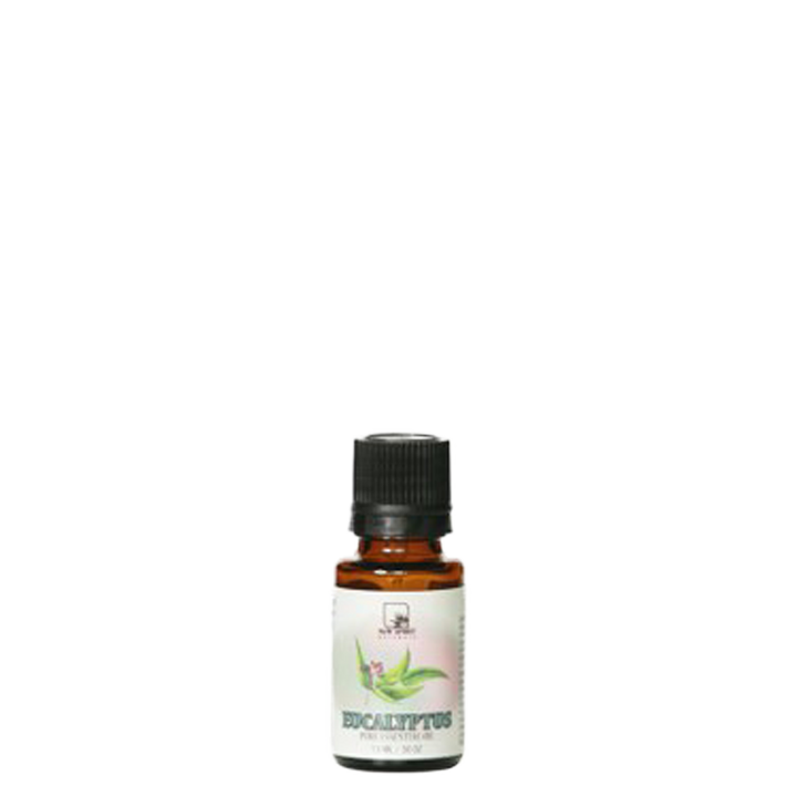 Eucalyptus