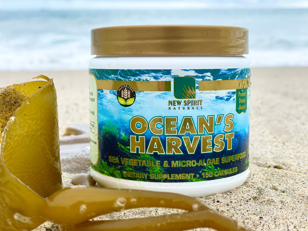 Ocean's Harvest